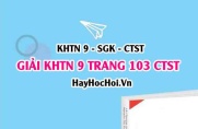 Giải KHTN 9 trang 103 Chân trời sáng tạo SGK